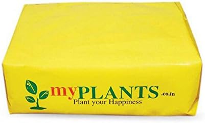 myPlants Organic Kit