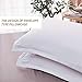 Dreaming Wapiti Duvet Cover Queen, Brushed Microfiber 3pcs Bedding Duvet Cover Set, Soft and Breathable with Zipper Closure & Corner Ties (White, Queen)