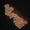 Luminous-Glow-Fishing-Beads-38×58-50-Pieces-Pink