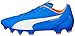 PUMA Men's Evospeed 4.4FG Soccer Shoe