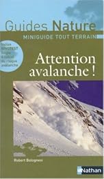 Attention avalanche !