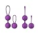 Kegel Exercise Weights Bladder Control & Pelvic Floor Exercises 2 Pcs Premium Silicone Cones with Training Kit for Women Purple