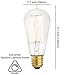 Edison Light Bulbs by Scandic Gear - 4 Pack - 60 Watts - Vintage Light Bulbs Add Antique Touch to Décor - Retro Light Bulbs for Vintage Lamps and Fixtures - Clear Glass Edison Light Bulb
