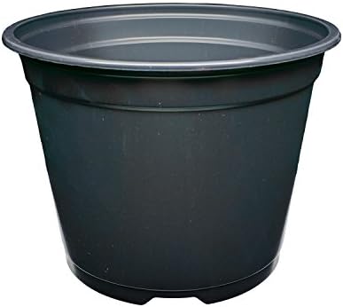 SP600 6" Round Flower Pots - Made in USA - Reusable, Recyclable - Garden, Hydroponics, Nursery, Farm, Greenhouse (30, Black)