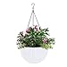 Vencer 11 Inch Round Resin Self Watering Hanging Basket,Water Indicator,Modern Decorative Planter Pot for All House Plants,White,VF-050