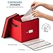 Zober Christmas Ornament Storage Box - Stores 64 Ornaments - Non-Woven, Tear- Proof Christmas Ornament Storage Containers - 3 Inch Cube Compartments - Red