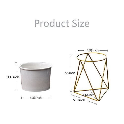 Planter Pots Indoor,Y&M(TM) 6 inch Modern Garden White Ceramic Round Bowl with Metal Air Plant Stand for Succulent Planter Cactus (White + Gold)