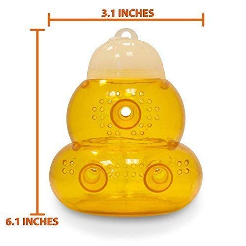 Aspectek 2-Pack Hornets, and Bees (Wasp Trap), 2 Pack, Yellow