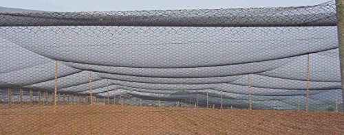 image for Poultry Netting 25ft x 50ft Heavy Knotted 2