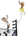 WWEBattle Pack Series #33: Rob van Dam vs. Rey Mysterio Action Figure