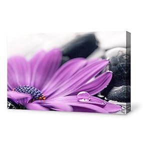 Canvas Wall Art for Living Room,Bedroom Home Artwork Paintings Orchid SPA Backgrounds Ready to Hang - 12x18 inches