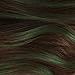 L'Oreal Paris Hair Makeup Temporary 1-Day Hair Color for Brunettes, Green 70, 1 Fl Oz