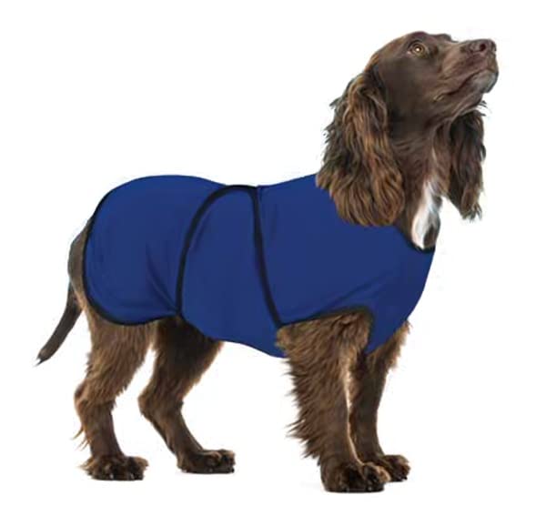 Van Der Basch trading Dog Cooling Vest - Cooling Shirt for Dogs - Blue, Small