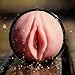 Fleshlight Stamina Training Unit | in A Discreet Black Case