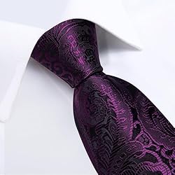 DiBanGu Silk Paisley Ties for Men Woven Necktie and