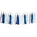 Tissue Paper Tassel DIY Party Garland Decor for All Events & Occasions - 20 Tassels Per Package (Blue-Navy-White-Silver)