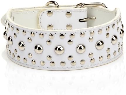 Pet Kingdom 18-24'' Leather Studded Large Dog Collar 4 Colors 3 Size Pet Collar (White, Large)