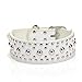 Pet Kingdom 18-24'' Leather Studded Large Dog Collar 4 Colors 3 Size Pet Collar (White, Large)