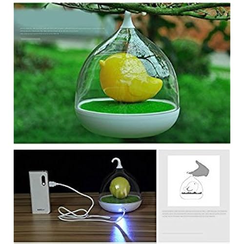Wastar® Birdcage Vibration Night Light Rechargeable Touch Dimmable Lamp to Overcome Night Fright - Includes Instruction Tools & Home Improvement, Lighting & Ceiling Fans, Wall Lights, Night Lights
