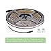 LE 12V LED Strip Light, Flexible, Waterproof, SMD 2835, 300 LEDs, 16.4ft Tape Light for Home, Kitchen, Christmas and More, Warm White