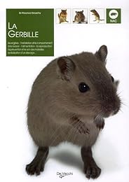 La  gerbille