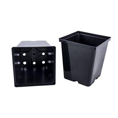 Penseetek 24 Pack 1/2 Gal Plastic Square Nursery PotsSquare Nursery