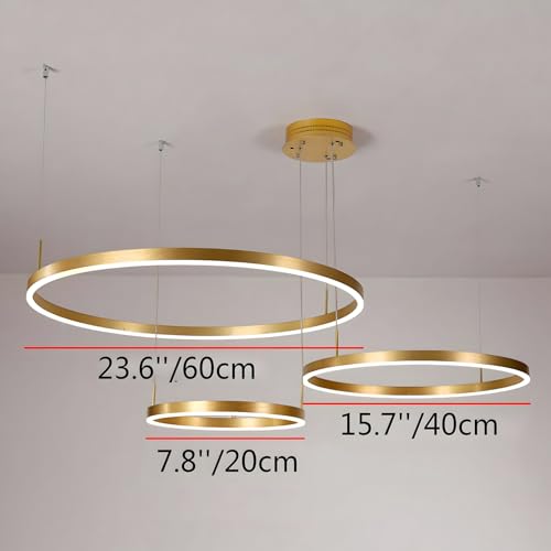 WayLuoung Metal LED Chandelier | 3 Circles 20+40+60cm | 45W Hanging Ceiling Light With Rings, Dimmable Remote Control 3000-6000K, Acrylic Lampshade Living Room Bedroom Foyer Dining Room【Gold】