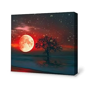 Canvas Wall Art for Living Room,Bedroom Home Artwork Paintings Secret Paradise Under The Moonlight Ready to Hang - 12x12 inches