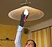 BBQ & Ove Gloves are Extremely Flame & Heat Resistant Barbecue Mitts with Silicone Fingers for Grilling, Smoking, Pit, Fireplace, Camping, or Kitchen Oven - EN407 Rated to 932 Fahrenheit