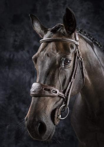 BR Acavallo Soft Gel Nose and Poll Guard - Size ONESIZE
