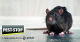 Pest-Stop Easy Setting Metal Rat Trap Durable Reusable Snap Trap view 6