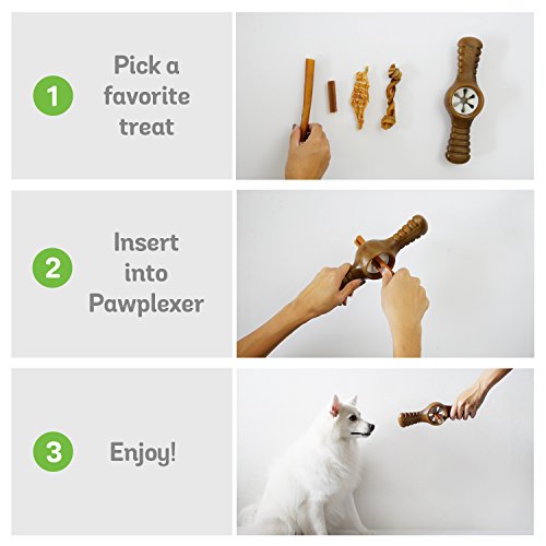 Best Dog Chew For Aggressive Chewers at Mary Bornstein blog