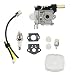 ANTO RB-K75 Carburetor Carb with Gaskets Primer Bulb Air Fuel Filter Lines Spark Plug for Echo GT-200 HC-150 SRM-210 SRM-211HC-150， ZAMA A021000740 A021000741 A021000742 Trimmer/Brushcutter