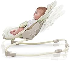 ingenuity sunny snuggles