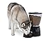 Aspen Pet Lebistro Programmable Cat and Dog Feeder 2 Sizes Blackthumb 1