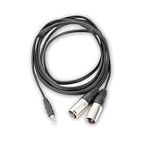 AxcessAbles TRS18-DXLR402M Stereo Breakout Audio Cable, 3.5 mm Stereo TRS to Dual XLR Male Cable (6.5ft)
