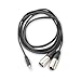 AxcessAbles TRS18-DXLR402M Stereo Breakout Audio Cable, 3.5 mm Stereo TRS to Dual XLR Male Cable (6.5ft)
