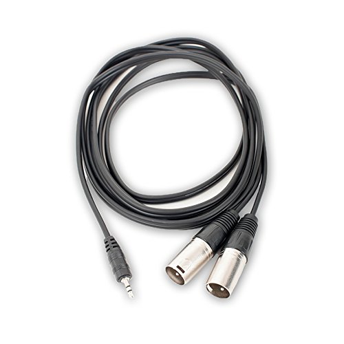 AxcessAbles TRS18-DXLR402M Stereo Breakout Audio Cable, 3.5 mm Stereo TRS to Dual XLR Male Cable (6.5ft)