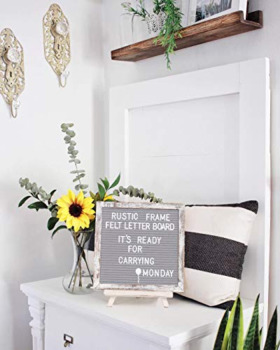 1 AlexBasic+Letter+Changeable+Pre+Cut+Letters