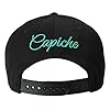 Capiche-38-VARIATIONEN-Special-Series-Snapback-Cap-Kappe-One-Size-Unisex-Herren-Damen