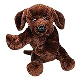 Webkinz Chocolate Lab