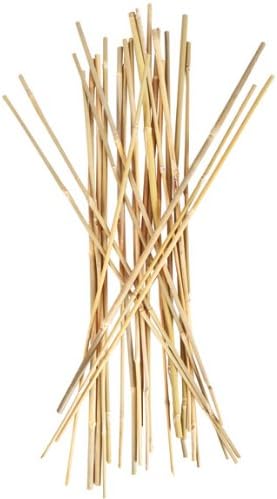 Smart Support Bamboo Stakes, 2', 25 Pack