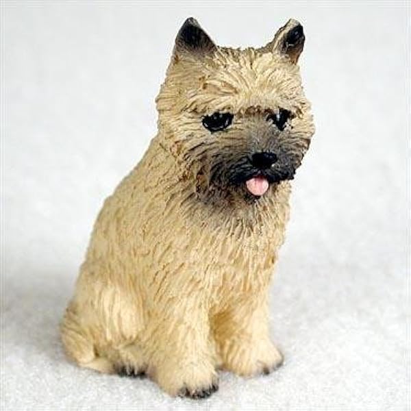 red cairn terrier