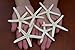 6 Pcs White Pencil Starfish Star Sea Shell Wedding Craft 3
