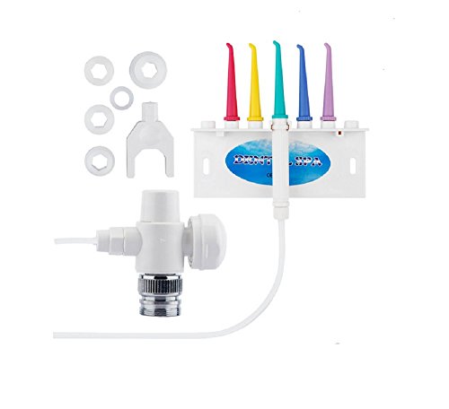 Lucktao Oral Hygiene Water Dental Flosser Oral Irrigator Water Jet Toothbrush Healthy Pick For Teeth Classic Plus Teeth Cleaning Tools