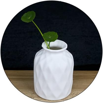 Mr. Garden DIY Paint Colors Ceramic White Small Vases,Home Decor Flower Pots D1.3-InchxH3.54-InchxW2.56-Inch,Set of 2 With 2Pack Pigments & Pens