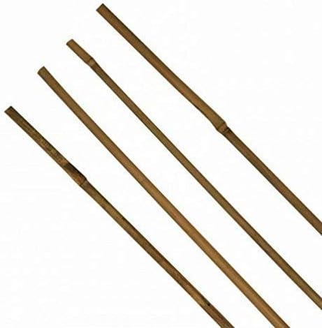 1 Pieza Tonkinstab Bambusstab Tutores Ø 8-10mm X 90CM: Amazon.es ...