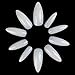 ECBASKET 500 PCS Long Stiletto False Nails Acrylic Nail Tips 10 Sizes Full Cover Fake Nails For DIY Nail Art (Natural)