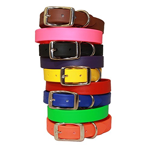 SPARKY'S STANDARD BUCKLE COLLAR 1" X 20" PINK