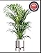 Wood Plant Stand for Flower Pot Holder, Modern Plant Holders Used for Office & Home Decor, Ideal to Display on Both Indoor & Outdoor, Easily Flip Brown Color| 14″/10″ (Plant and Pot not Included)thumb 1